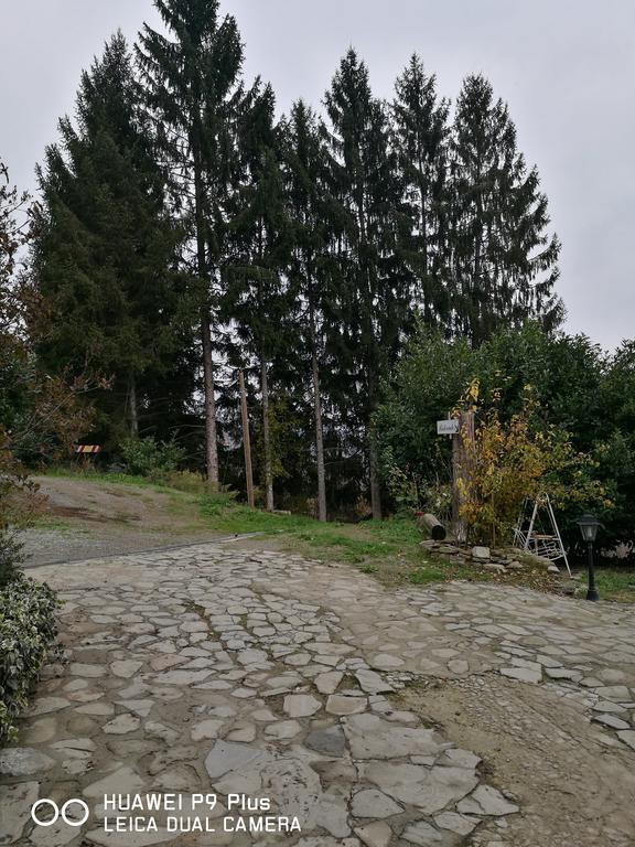 Agriturismo Davide Bossolasco エクステリア 写真